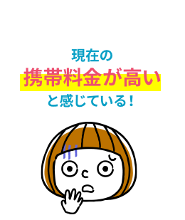 現在の携帯料金が高いと感じている!